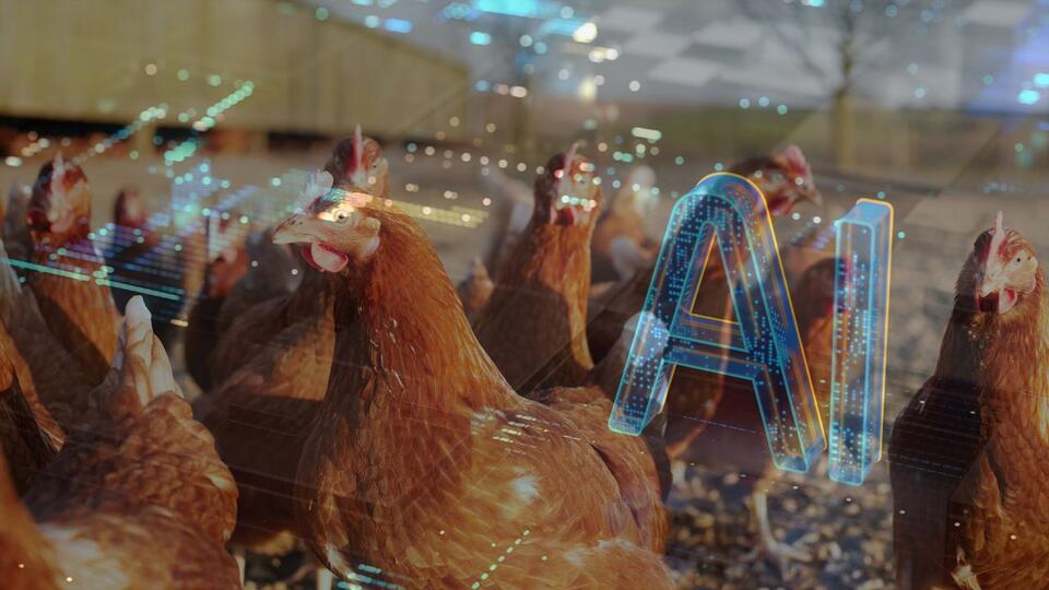 AI’s Weirdest Prompt Yet: 73kg Chicken?
