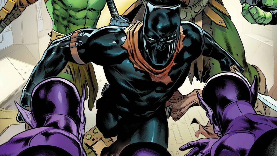 Black Panther vs Hulks?! 🐾