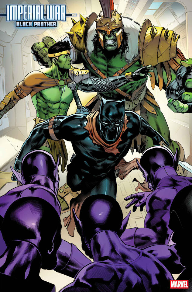 Black Panther vs Hulks?! 🐾