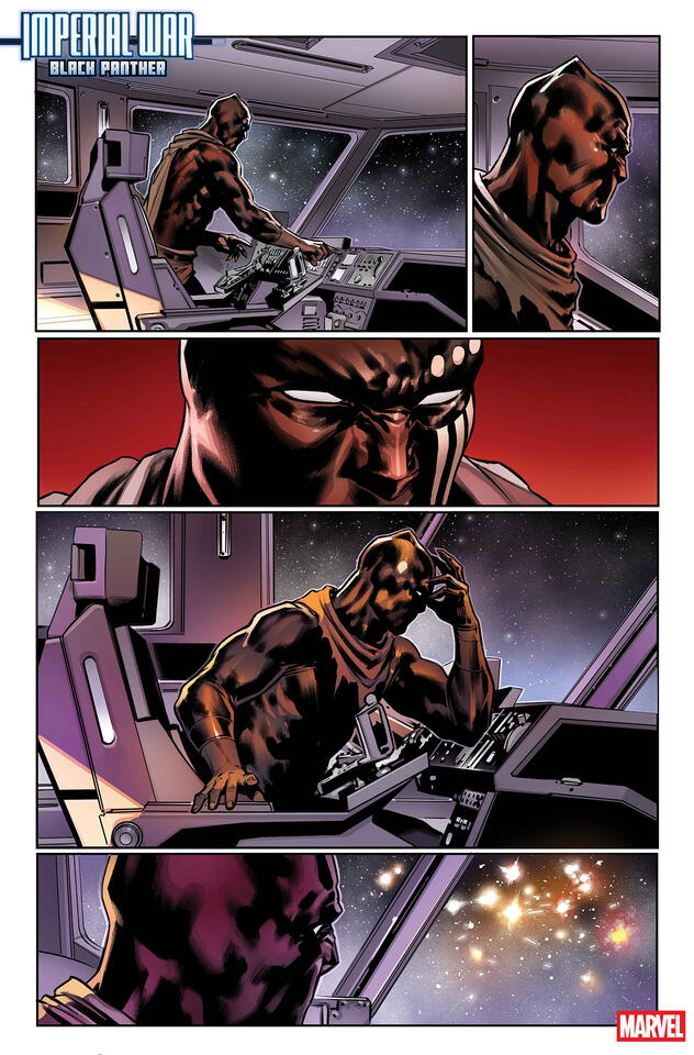 Black Panther vs Hulks?! 🐾