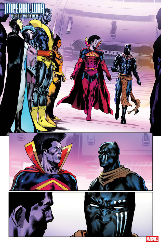 Black Panther vs Hulks?! 🐾