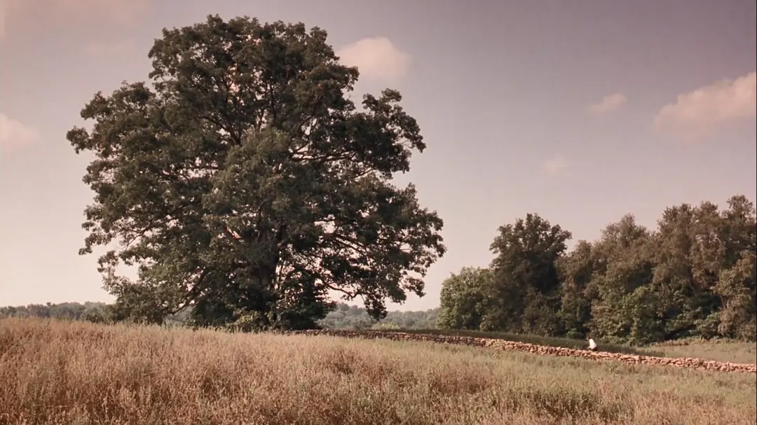 A Movie Without Romance or Glam — Yet It Shines Bright