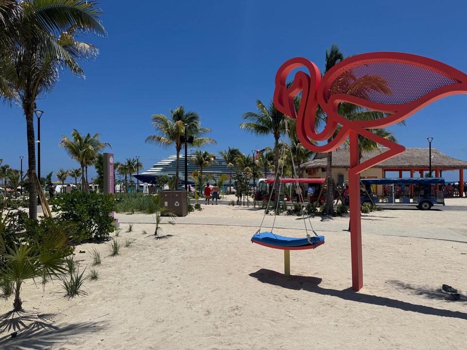 5 Wild Surprises at Carnival’s Celebration Key
