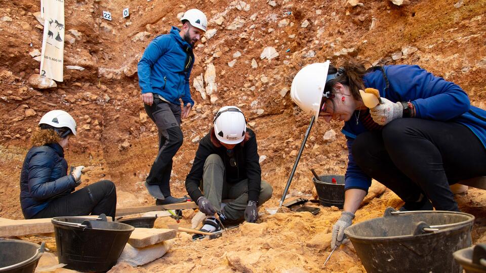 850,000-Year-Old Cannibal Shocker