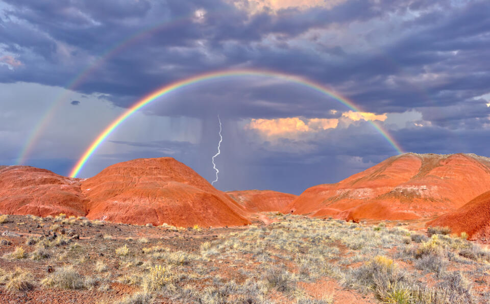 Arizona’s ancient flying reptile discovery