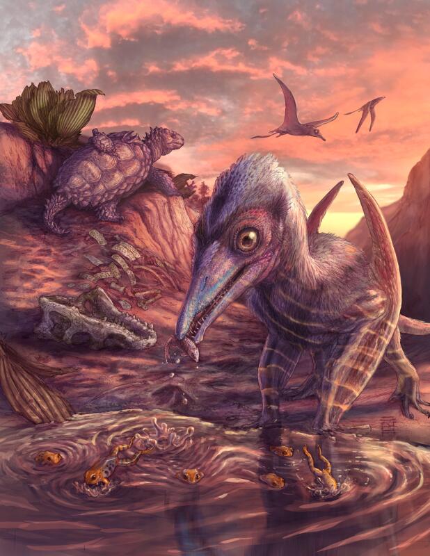 Arizona’s ancient flying reptile discovery