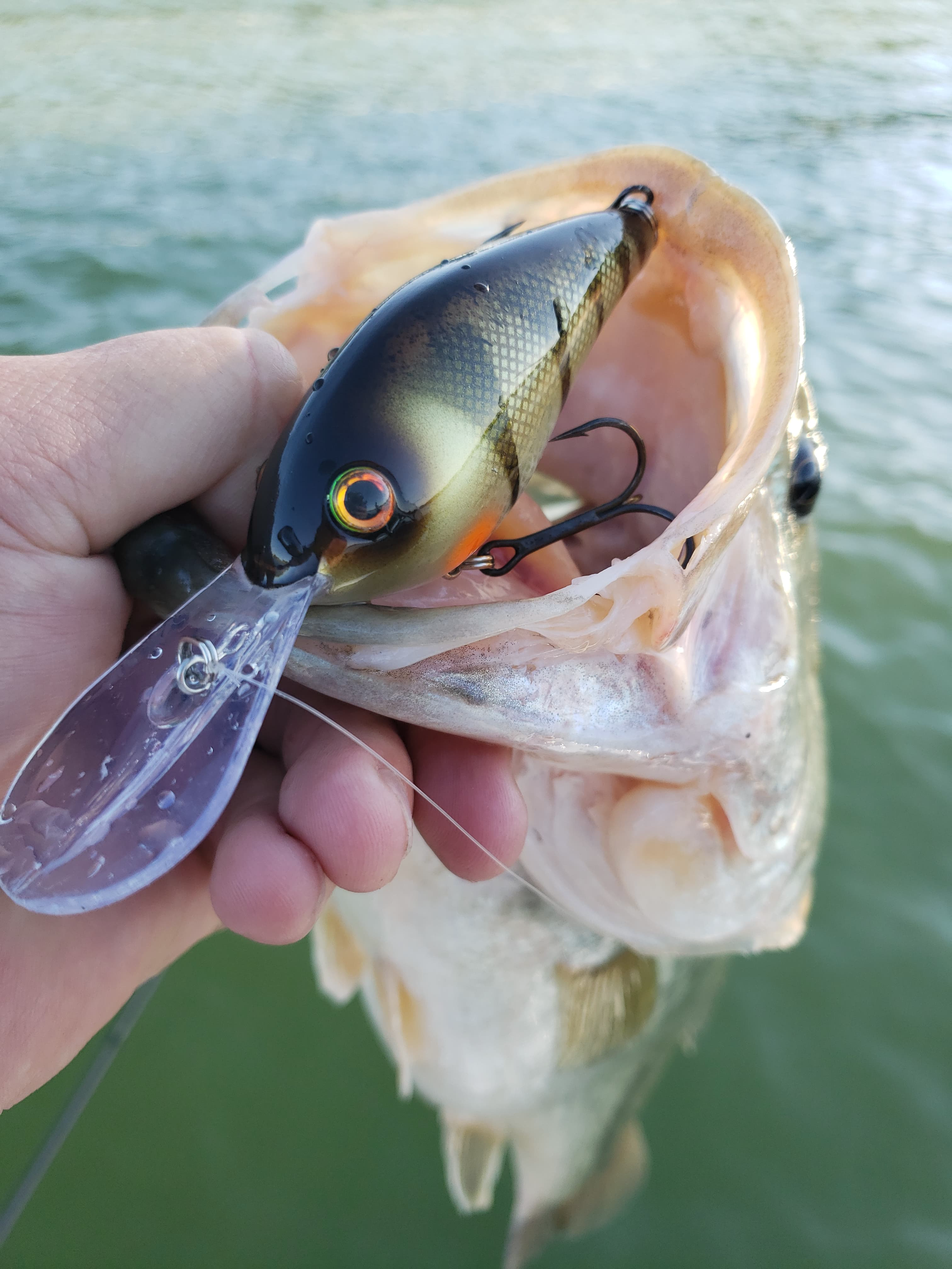 My #1 bass lure recommendation for newbies