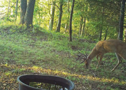 You're visiting your hunting spot too much