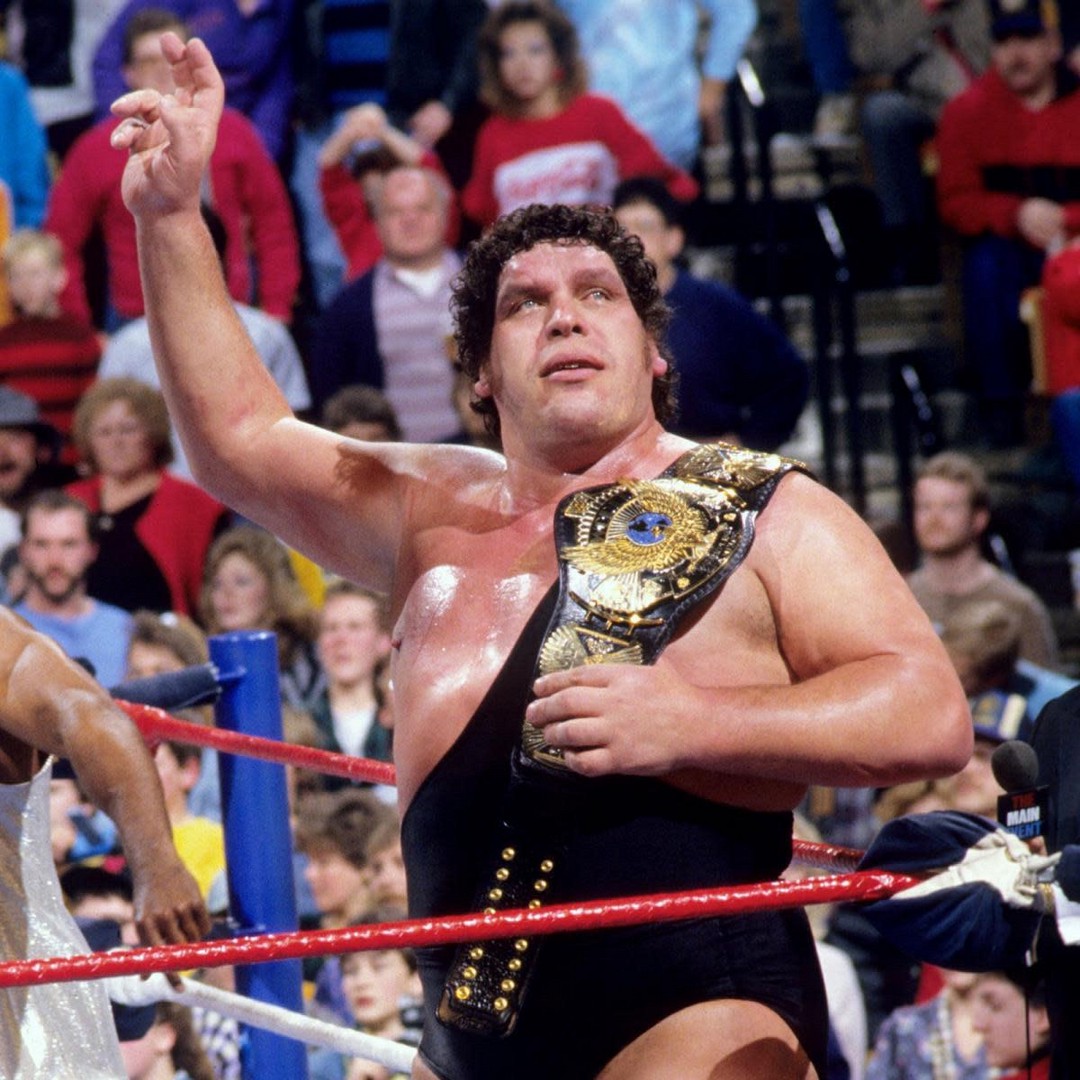 Andre the Giant Defeats Hulk Hogan (1988)