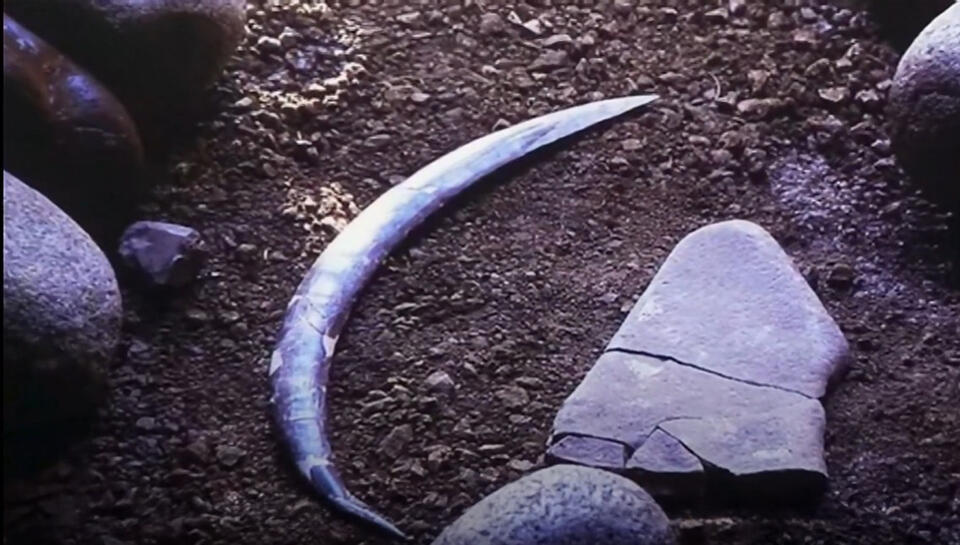 World’s Oldest Boomerang Wasn’t Aussie?!