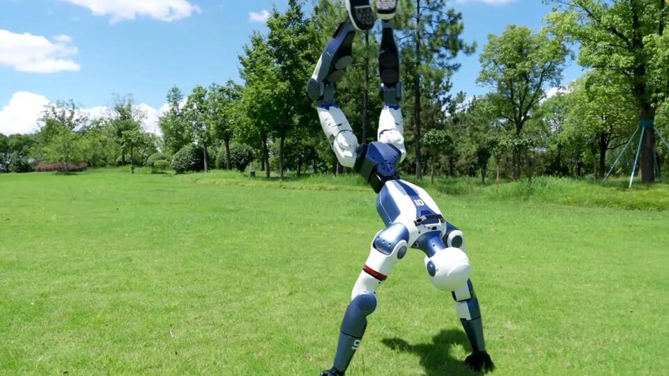 Would You Buy a $6K Gymnast Robot?