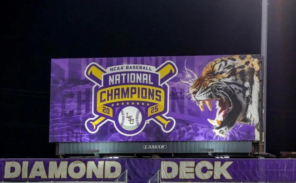 Tigers Dominate College Baseball Crowds Again!