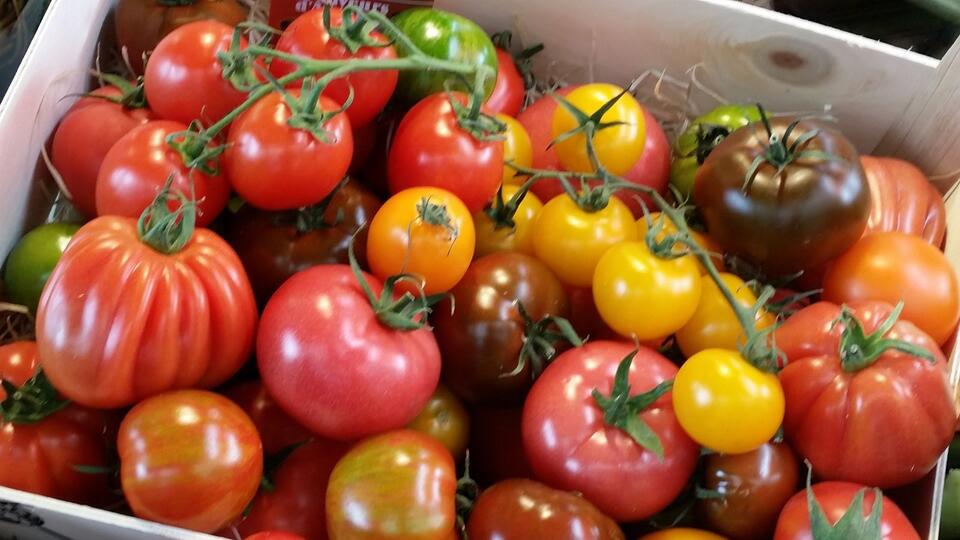 Tomato Hack: Grow Store-Bought Flavor at Home