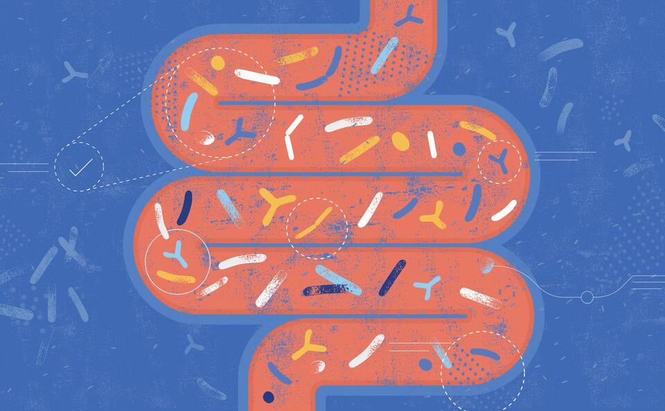Gut Bacteria: The New Health Detective?