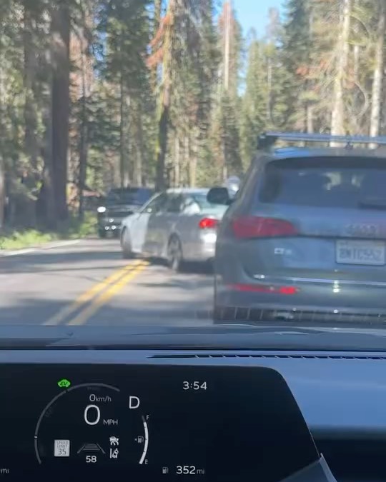 Yosemite traffic jam sparks debate on park respect