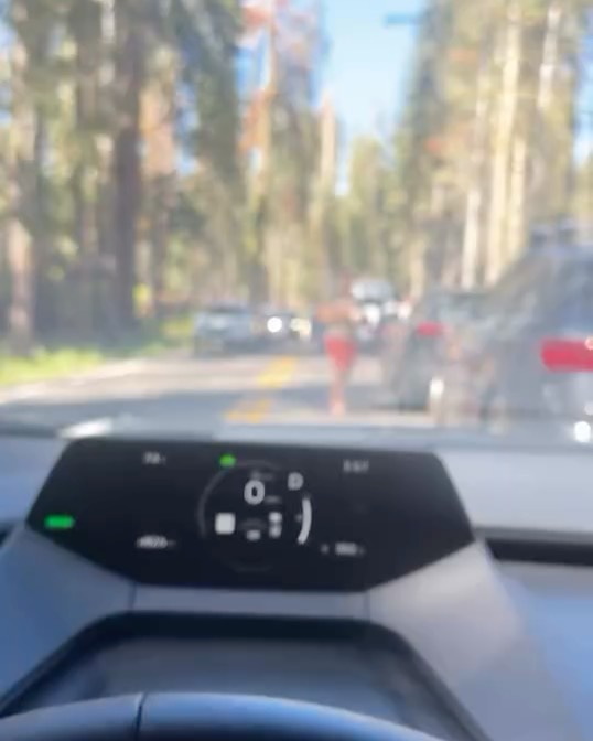 Yosemite traffic jam sparks debate on park respect