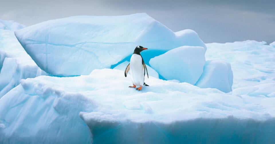 Scientists Are Melting 1.5M-Year-Old Ice!