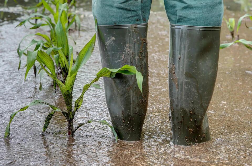 Central Texas farms reeling after historic floods