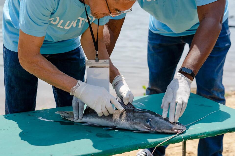 Wildlife Rescues That’ll Break Your Heart