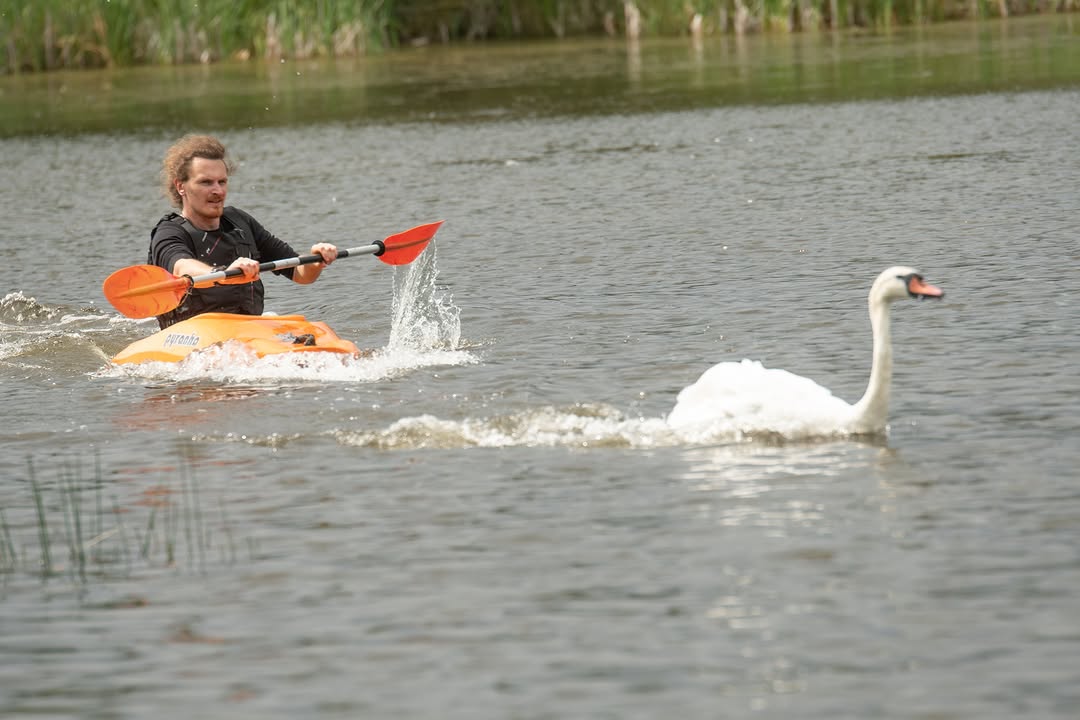 Wildlife Rescues That’ll Break Your Heart