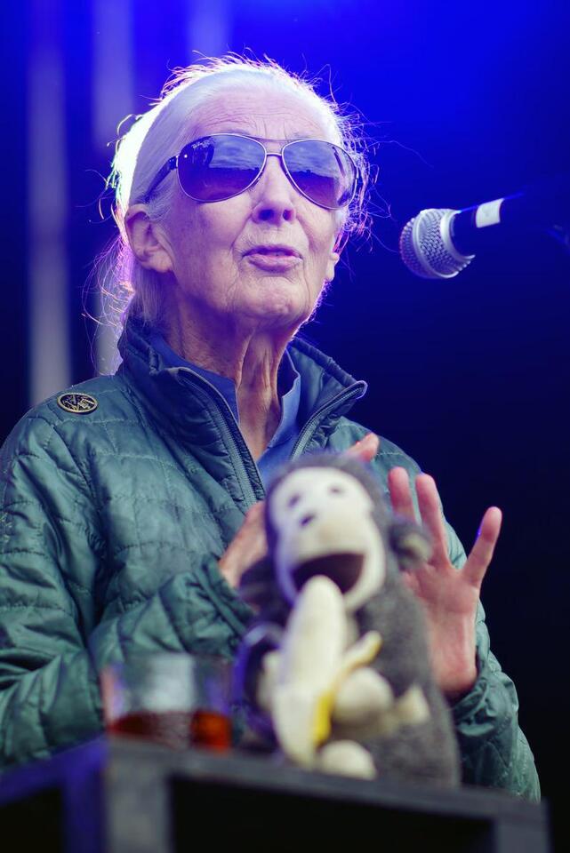 Jane Goodall Barbie Drama Hits London 🌊