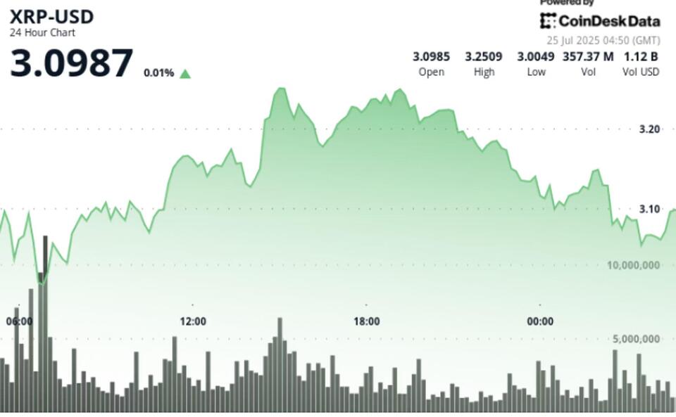 XRP Rollercoaster: Did You Survive the Dip?