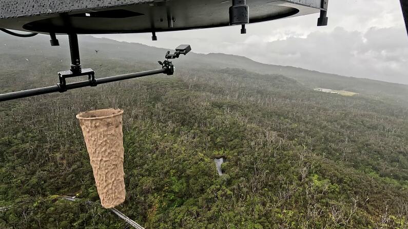 Mosquito-dropping drones could save Hawaii’s birds