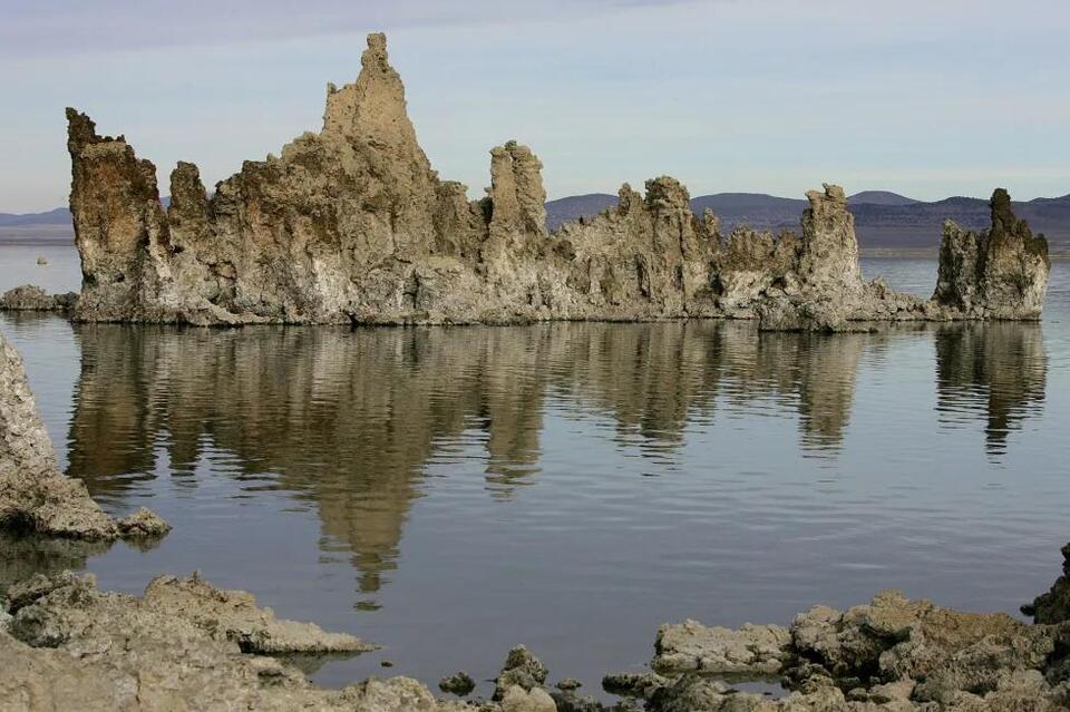 Science Journal Yanks Wild Arsenic Life Study