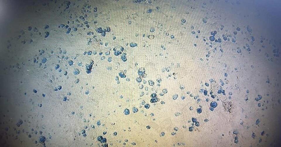 Mariana Trench Secrets Finally Revealed!