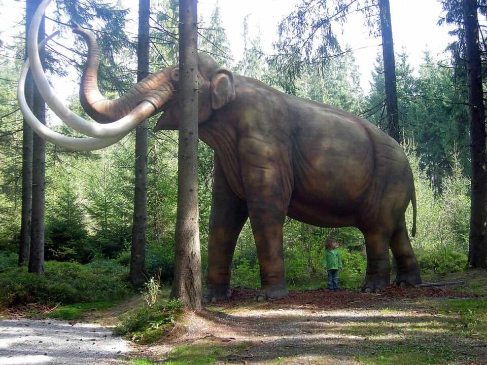 Mammoth tusk unearthed in Mississippi!