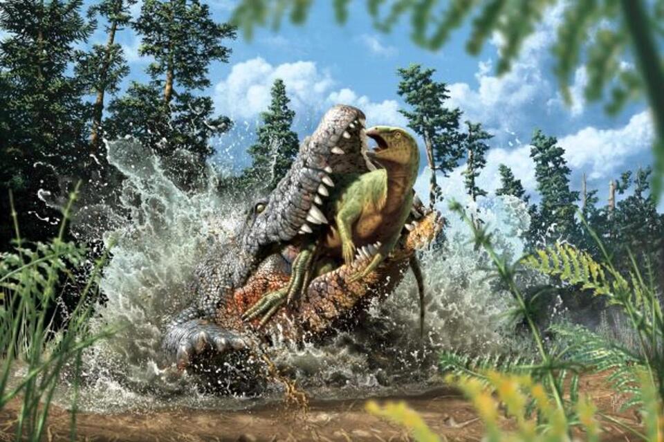Crocodile Ate a Dino—Fossil Proves It!