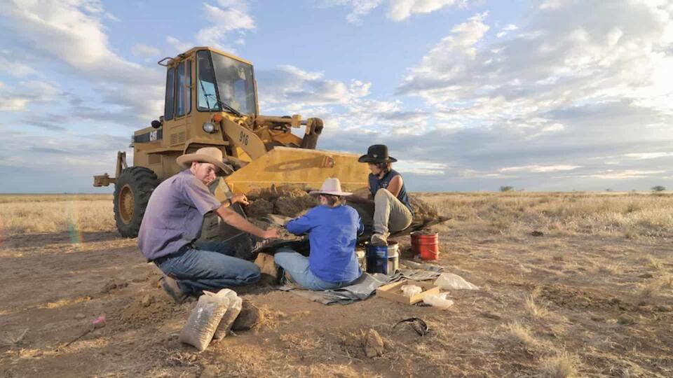 Crocodile Ate a Dino—Fossil Proves It!