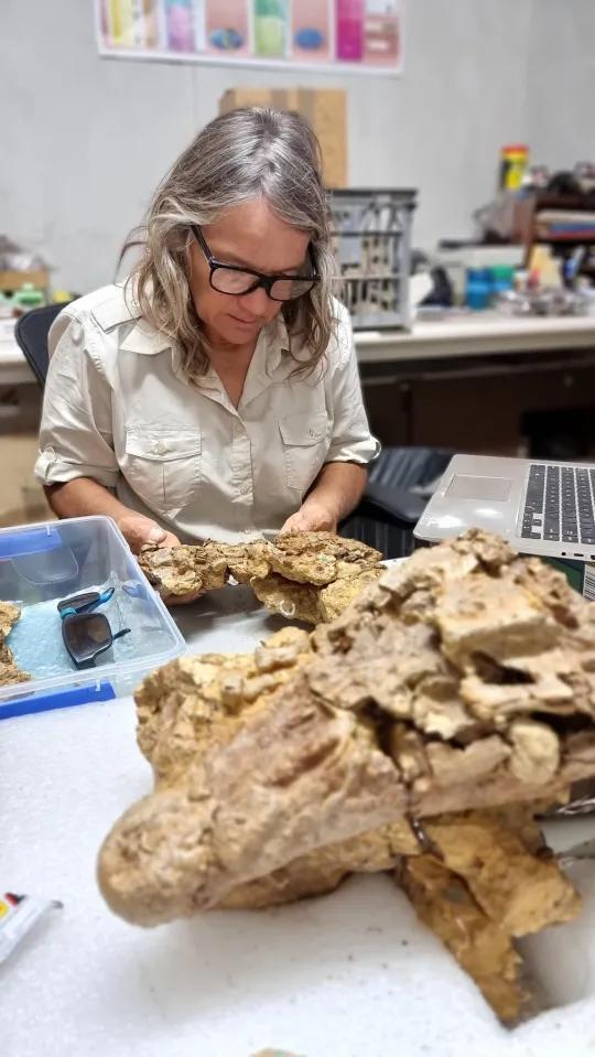 Crocodile Ate a Dino—Fossil Proves It!