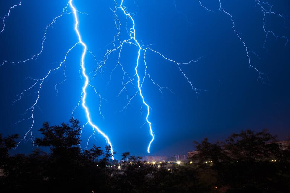 This Tree Turns Lightning Into a Superpower