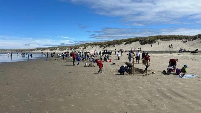 Shark sculpture steals the show in Newport