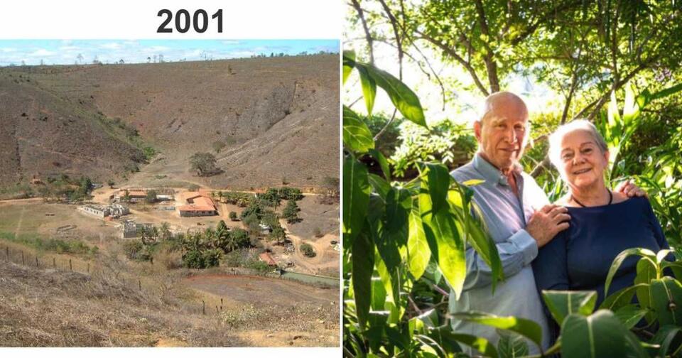 How Planting Trees Saved a Town