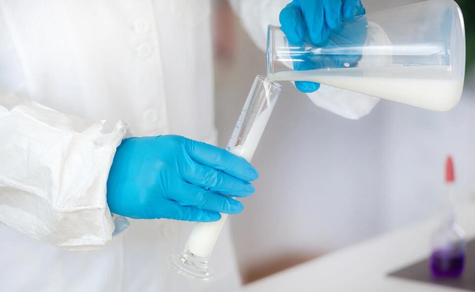 Microplastics in Cheese?! Say What?