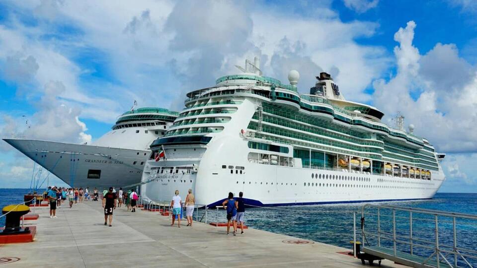 Dolphin Tours Just Got a Major Makeover