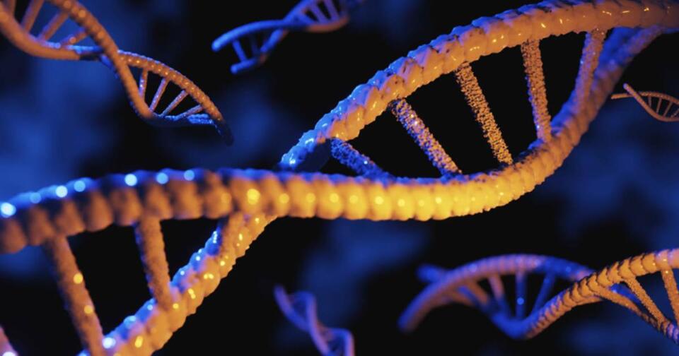 Ancient Viruses Are Hiding in Our DNA?!