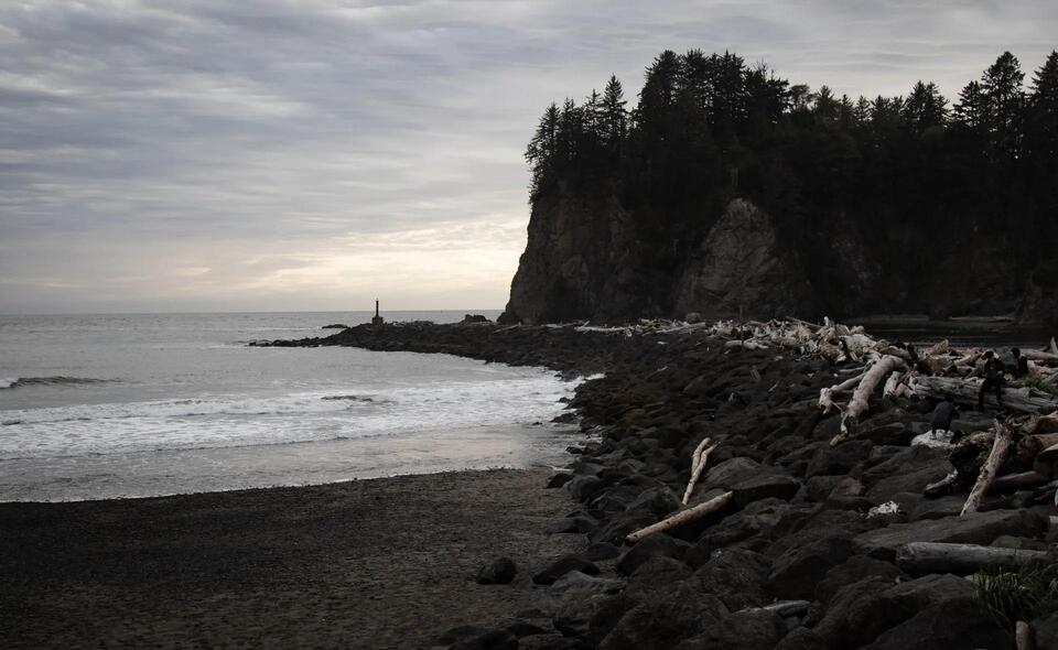 Invasive green crabs threaten Ketchikan shores