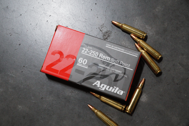 Why energy numbers don't tell the whole story - my hunting lesson