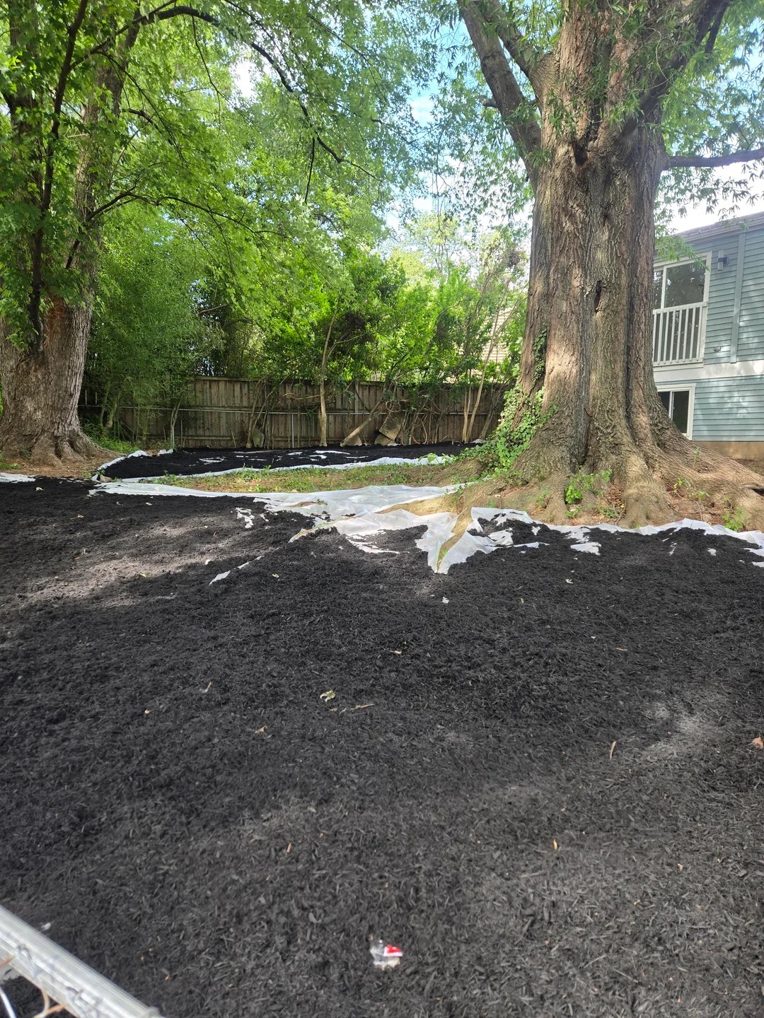 Why did the previous homeowner do this to the yard??