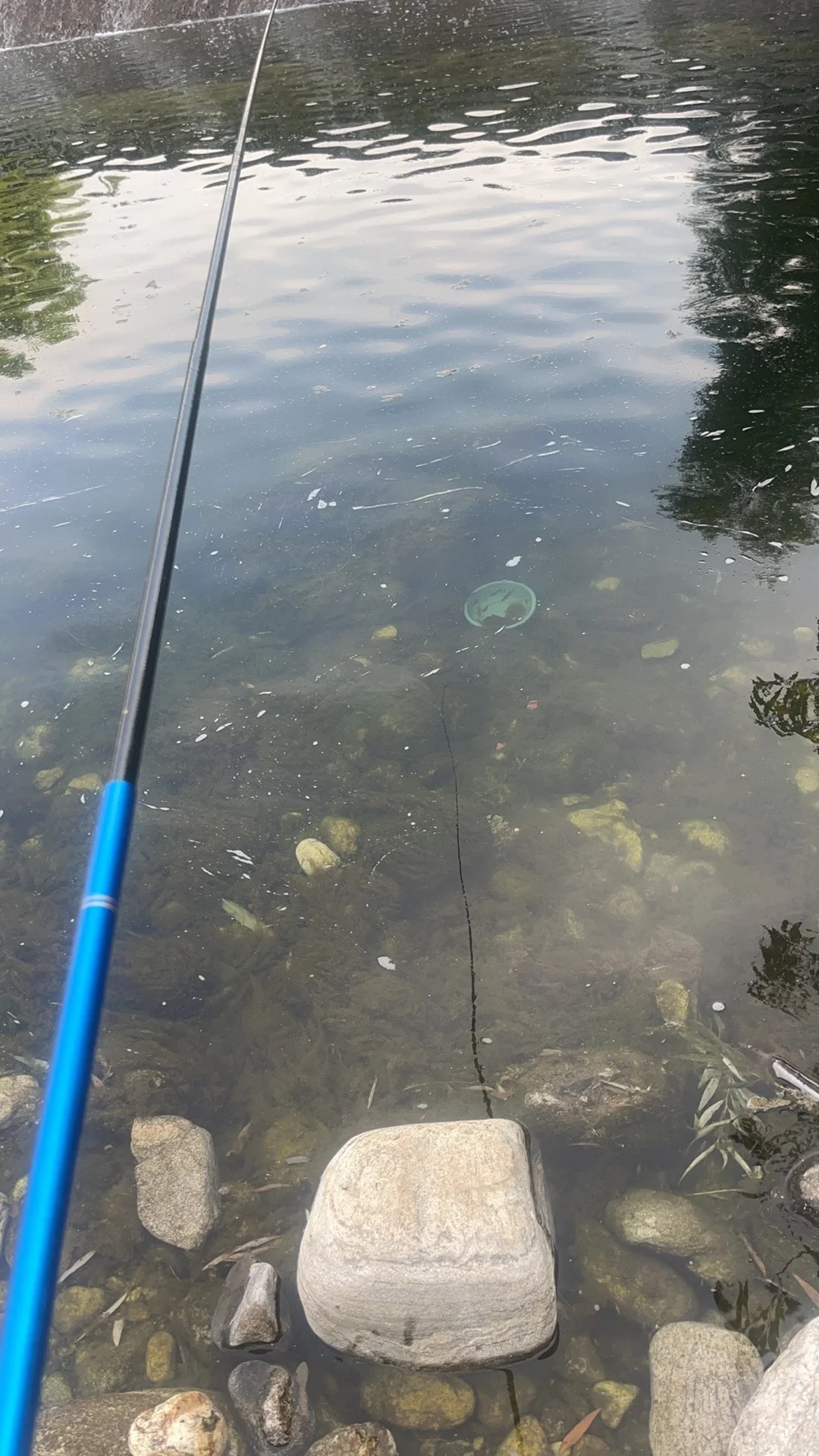 Am I cursed or just really bad at fishing?