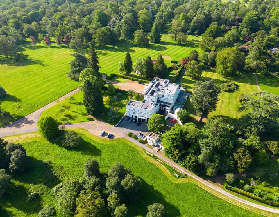 Royal Move Incoming? 🏰