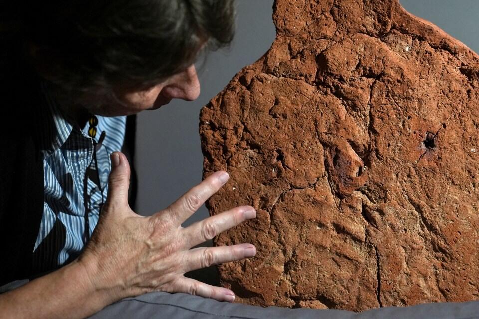 Ancient Handprint Drama! 🖐️