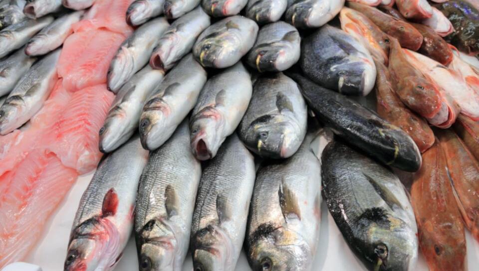 Fish Dinner Gone Wrong in the Canaries