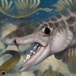 Tiny ancient shark found in Mammoth Cave