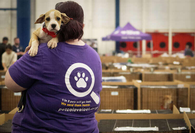 Houston’s biggest pet adoption event ever