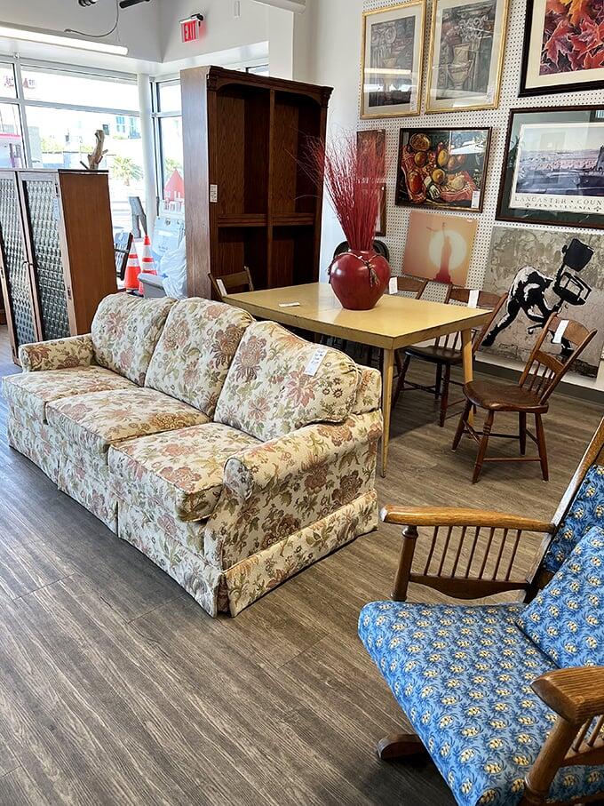 Phoenix’s thrift store gem: White Dove
