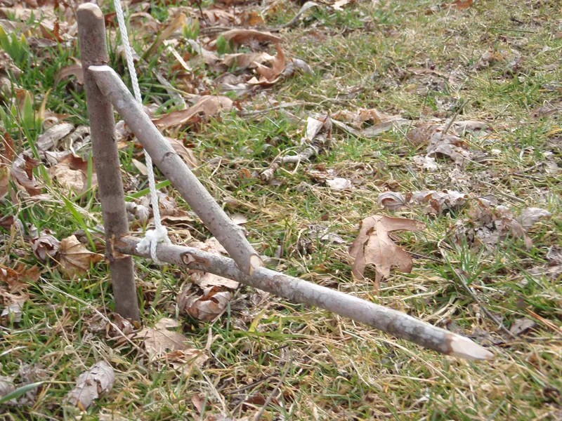 Am I wrong about trapping being inhumane? 